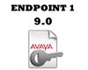 IPO R9 AV IP ENDPT 1 ADI LIC 275618