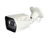 Camera IP Sans FIL WIFI 1 MP Antivandale infrarouge D1833
