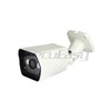 Camera IP 1 Megapixel étanche Weatherproof infrarouge +POE DI-NA104V+POE