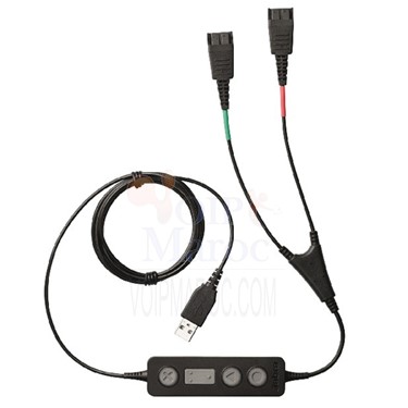 Link 265 Cordon Y/USB