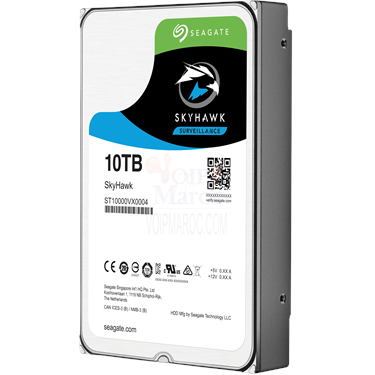 Disque Dur Interne SKYHAWK 10 To 3.5" SATA III 256 Mo pour Vidéosurveillance